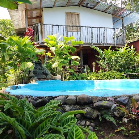 Cabana Vista Rio Celeste ภายนอก รูปภาพ