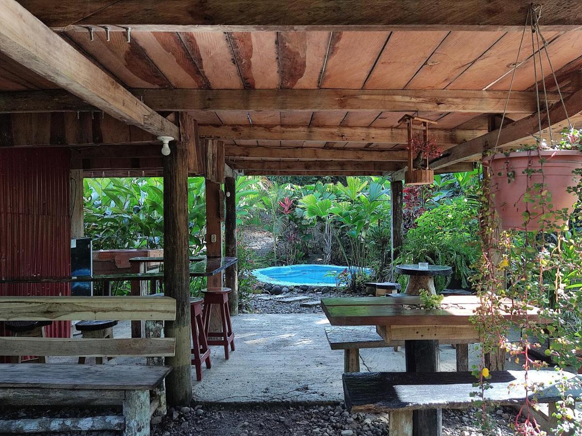 Cabana Vista Rio Celeste ภายนอก รูปภาพ