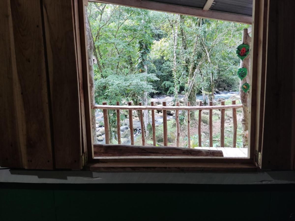 Cabana Vista Rio Celeste ภายนอก รูปภาพ