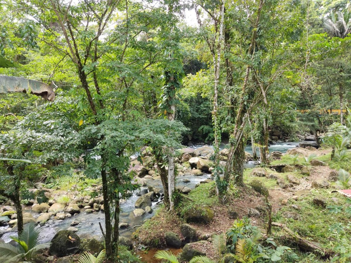 Cabana Vista Rio Celeste ภายนอก รูปภาพ
