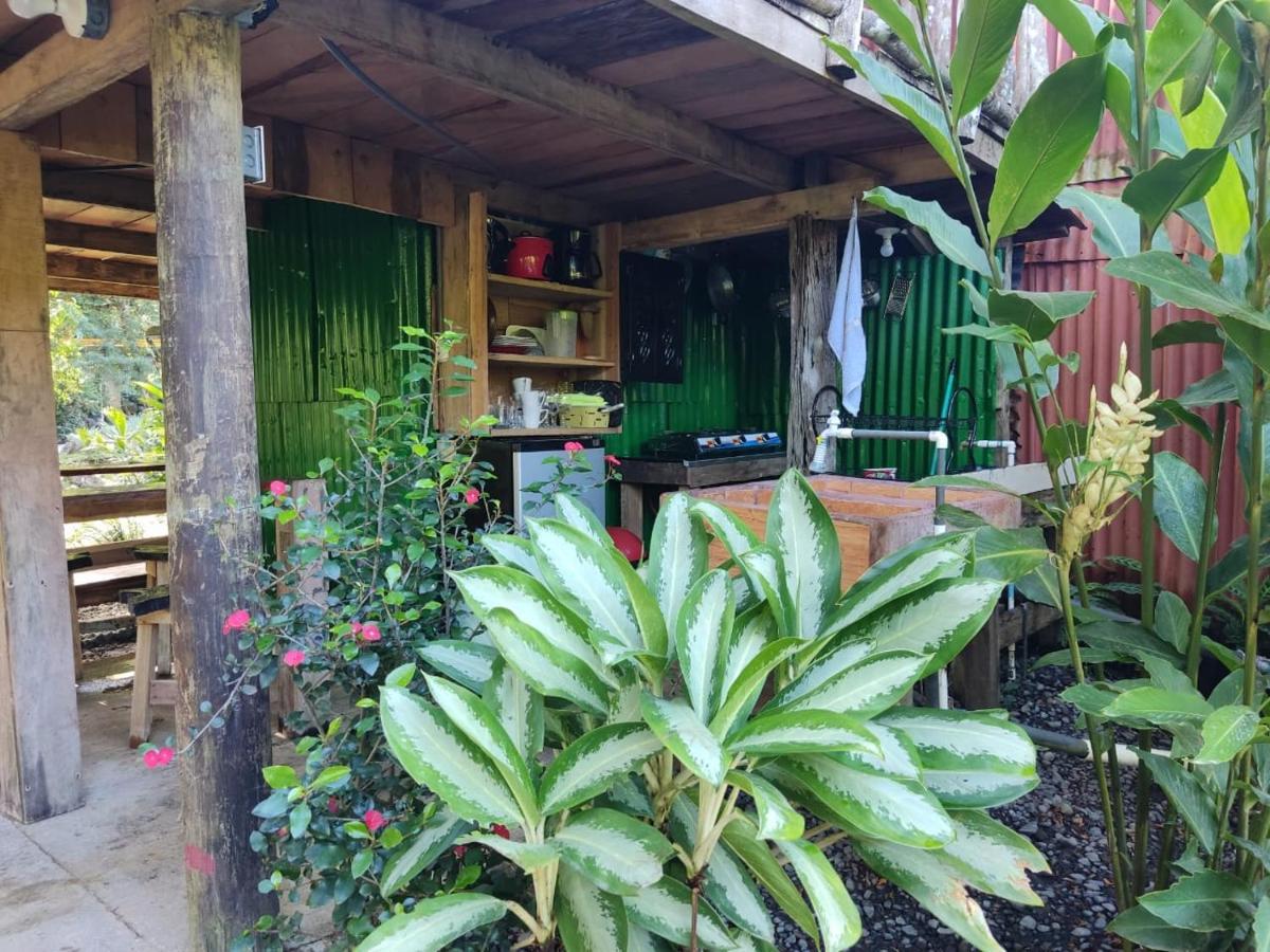 Cabana Vista Rio Celeste ภายนอก รูปภาพ