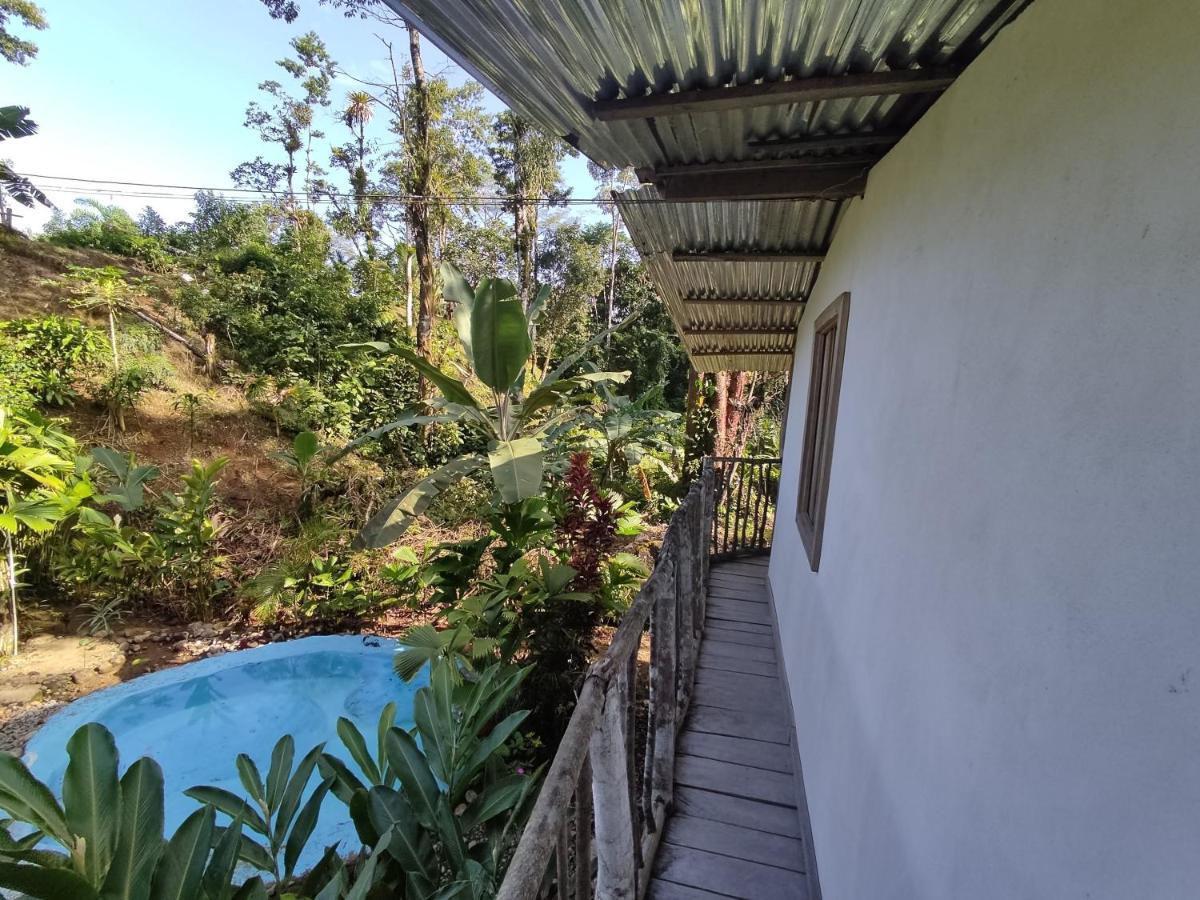 Cabana Vista Rio Celeste ภายนอก รูปภาพ