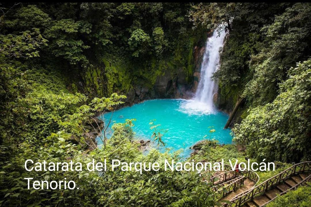 Cabana Vista Rio Celeste ภายนอก รูปภาพ
