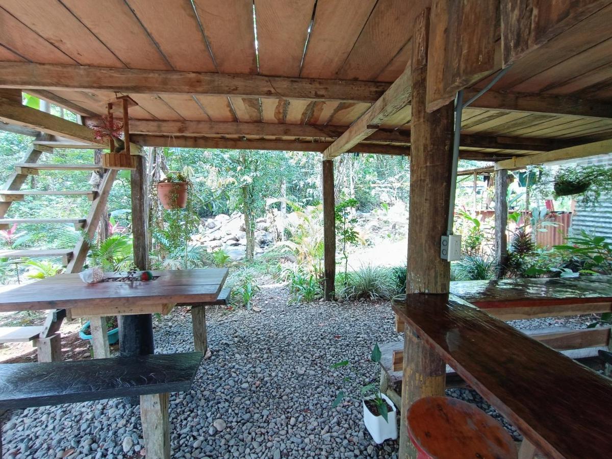 Cabana Vista Rio Celeste ภายนอก รูปภาพ