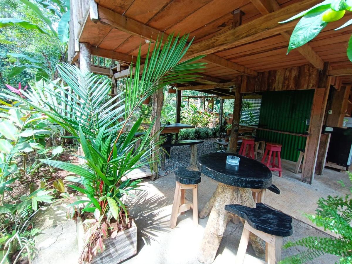 Cabana Vista Rio Celeste ภายนอก รูปภาพ