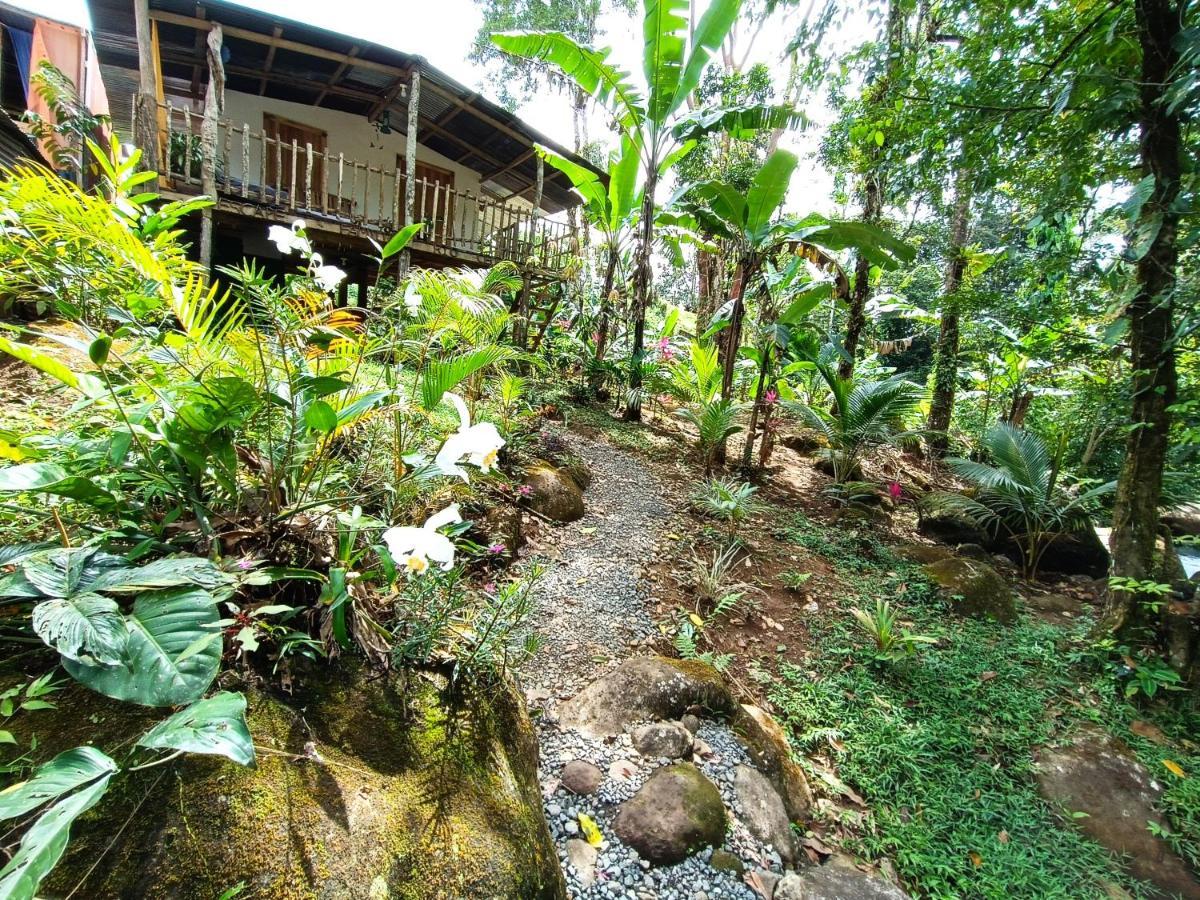 Cabana Vista Rio Celeste ภายนอก รูปภาพ