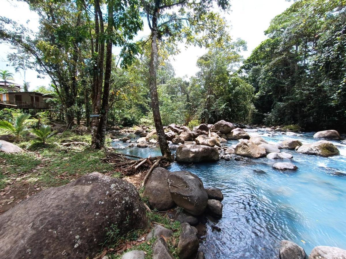 Cabana Vista Rio Celeste ภายนอก รูปภาพ