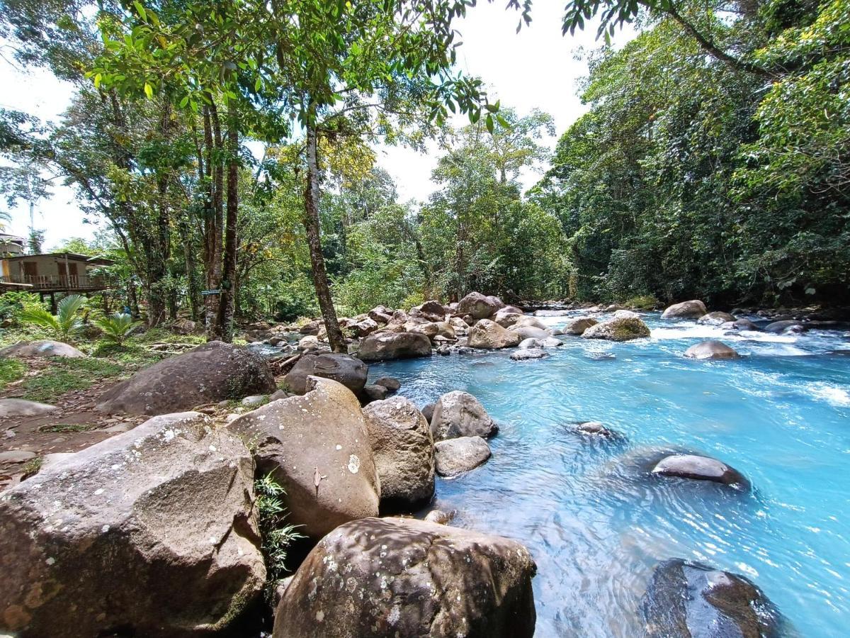 Cabana Vista Rio Celeste ภายนอก รูปภาพ