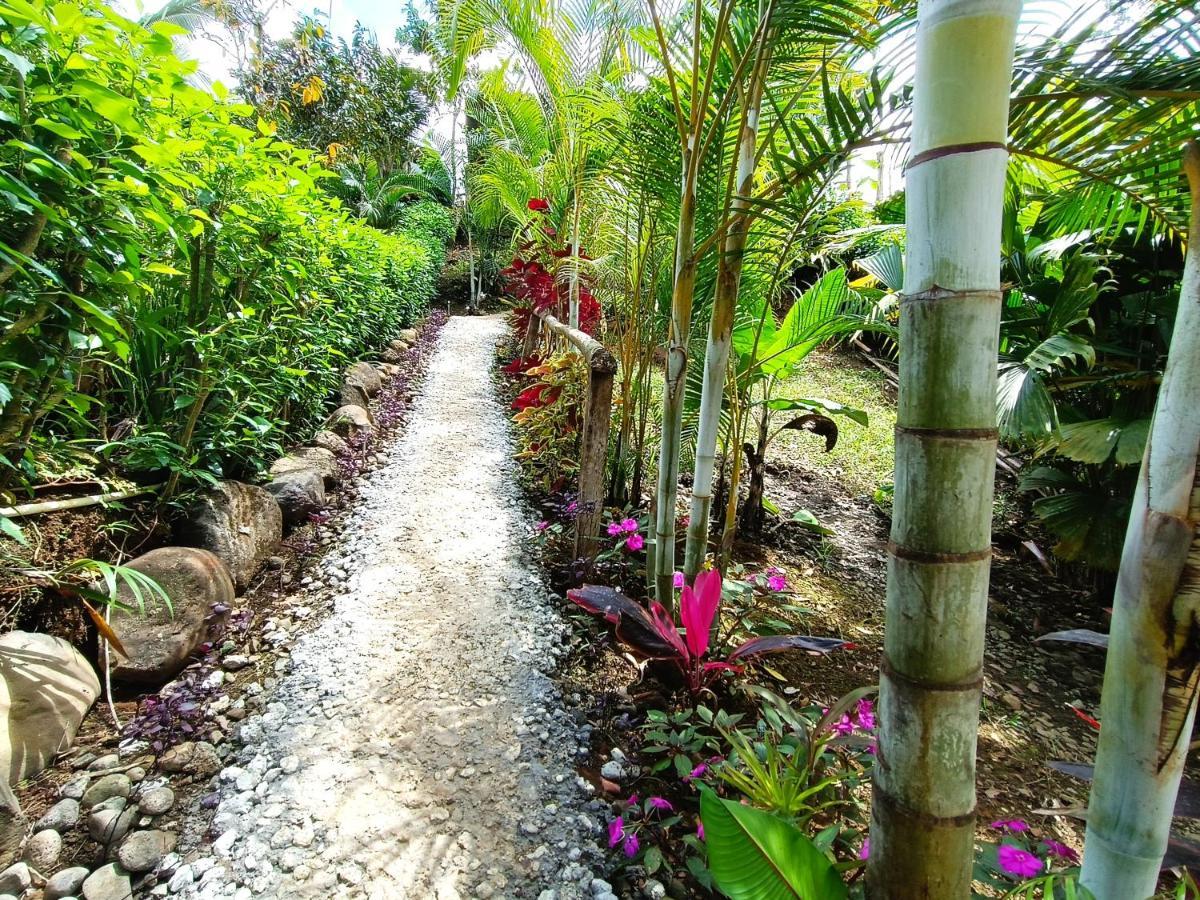 Cabana Vista Rio Celeste ภายนอก รูปภาพ