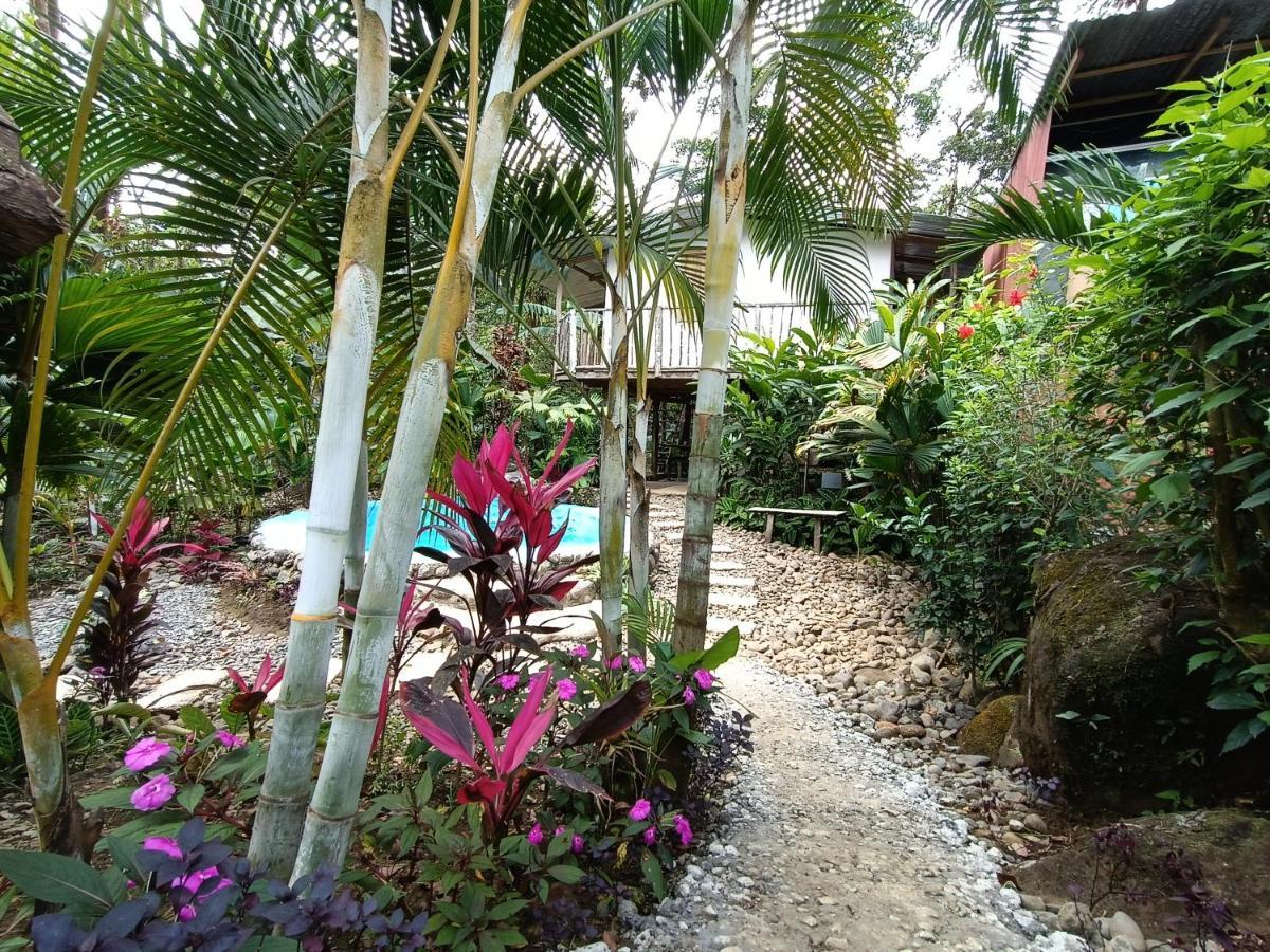 Cabana Vista Rio Celeste ภายนอก รูปภาพ
